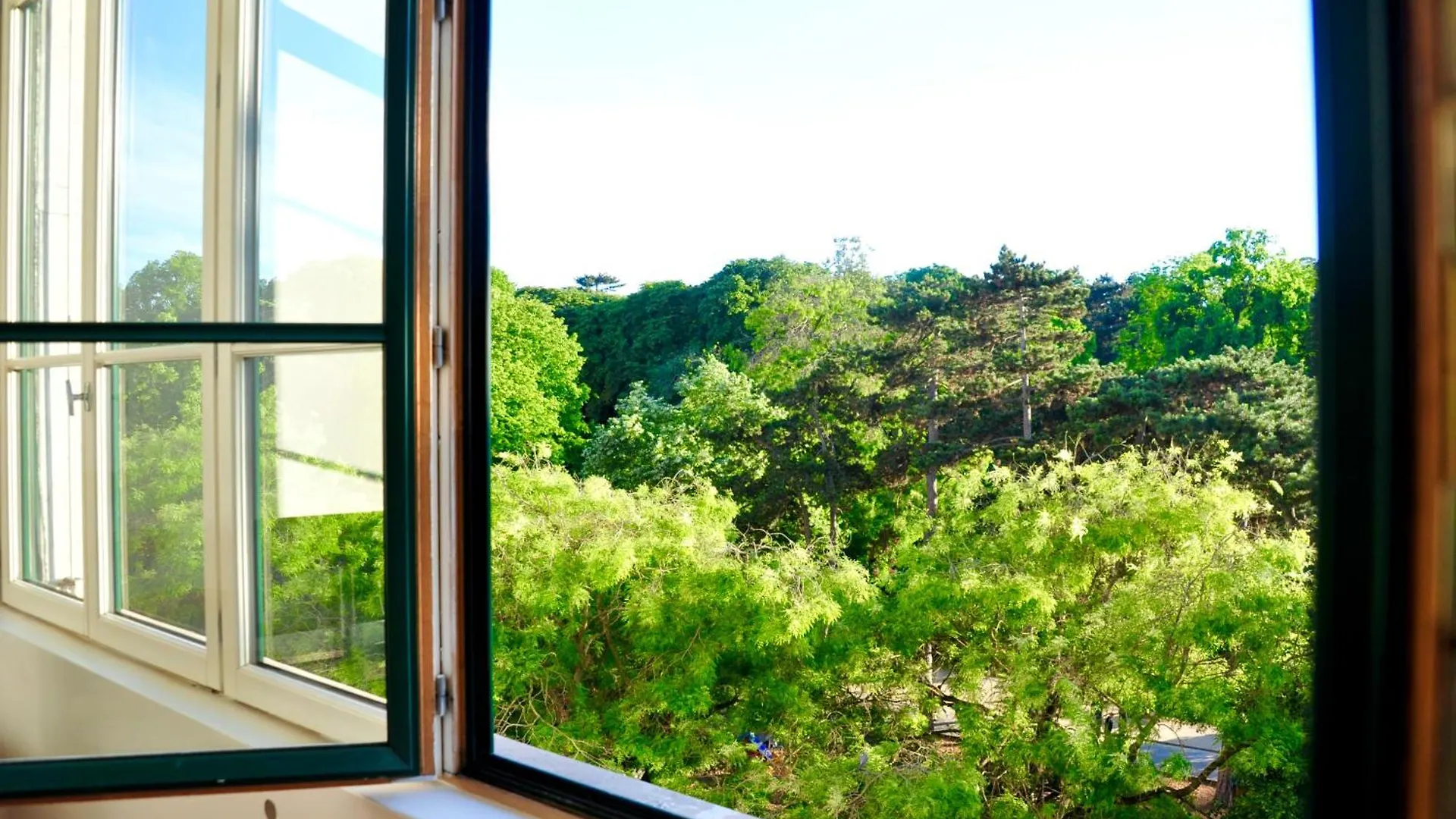 Spacious Loft In With Stunning View *